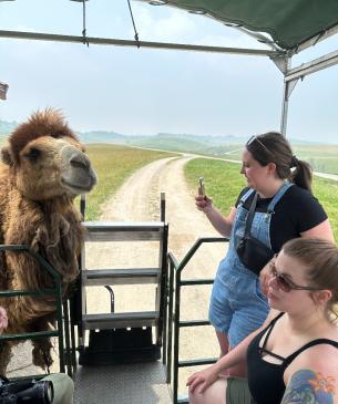 tour guests and camel