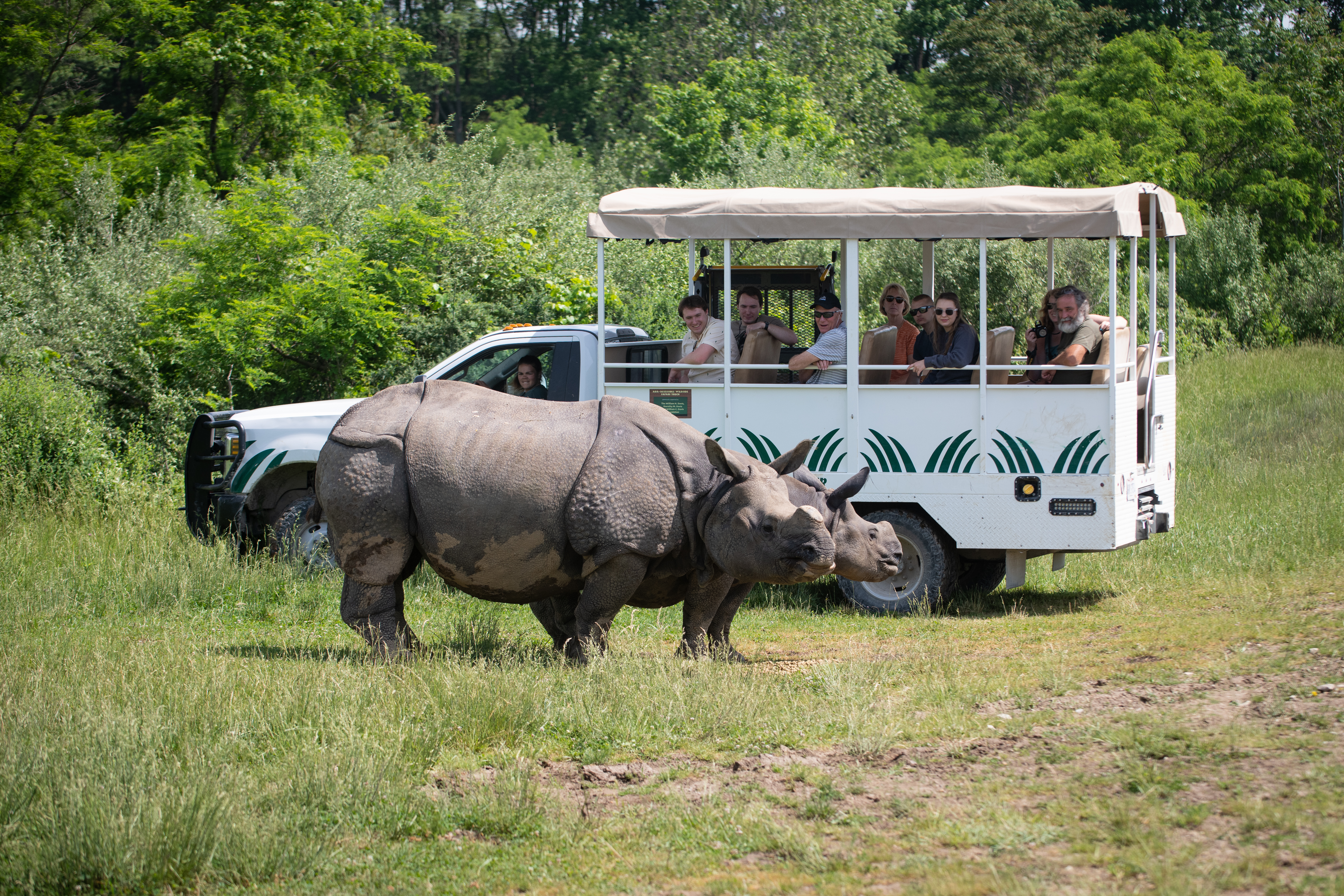 https://www.thewilds.org/sites/default/files/assets/featured/Wildside%20Tour%202038%20-%20Grahm%20S.%20Jones%2C%20Columbus%20Zoo%20and%20Aquarium.jpg