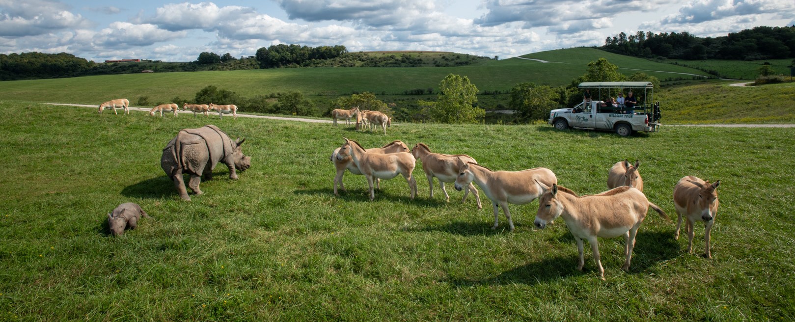 pasture tour