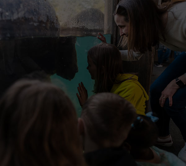 girl looking at polar bear