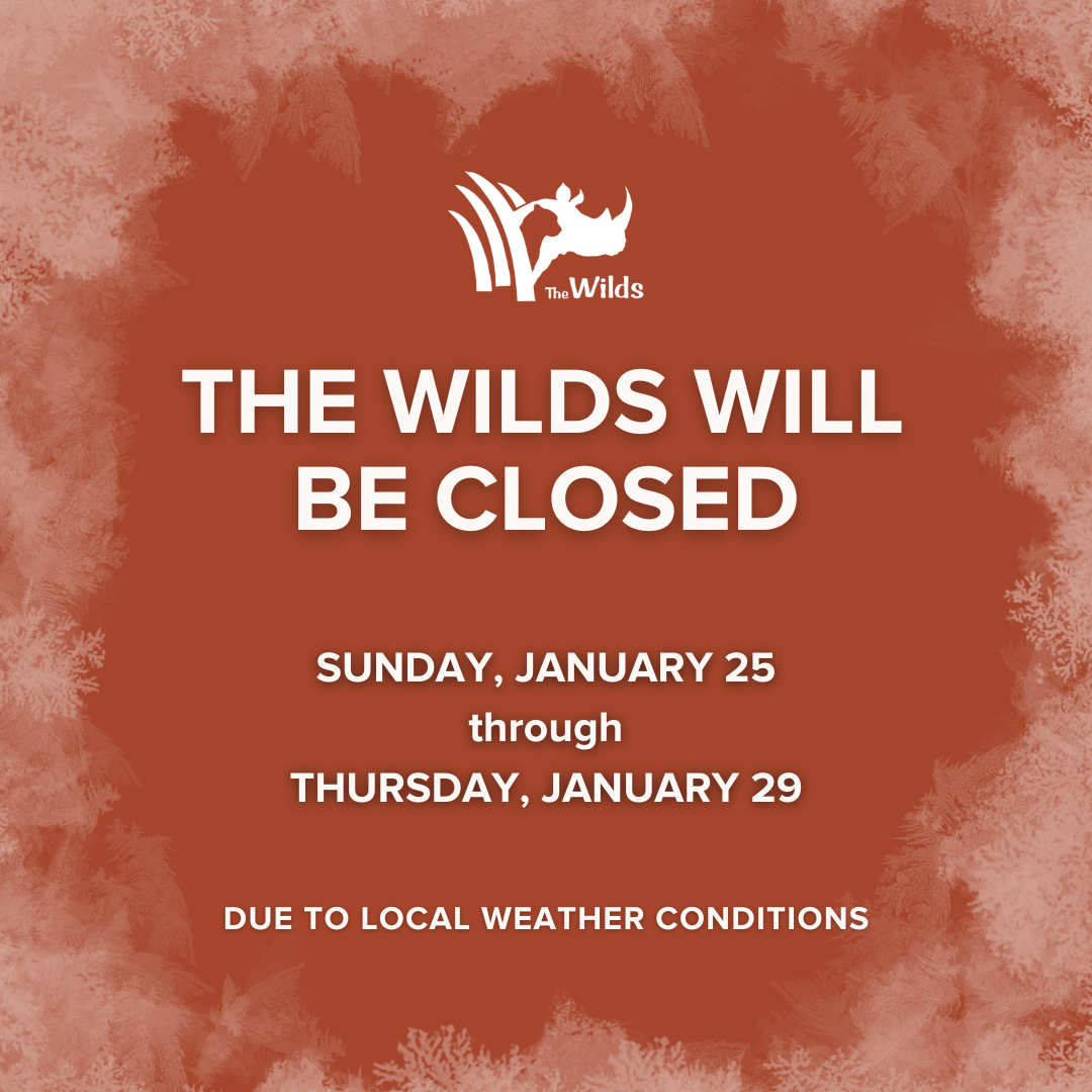WILDS CLOSURE GRAPHIC