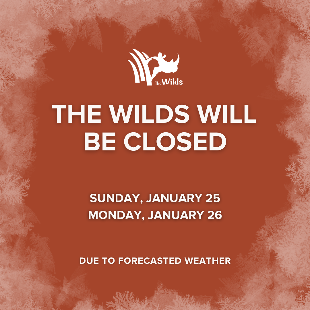 The WIlds weather closure graphic