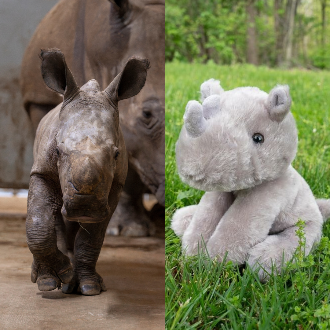 split image of rhino and plush toy