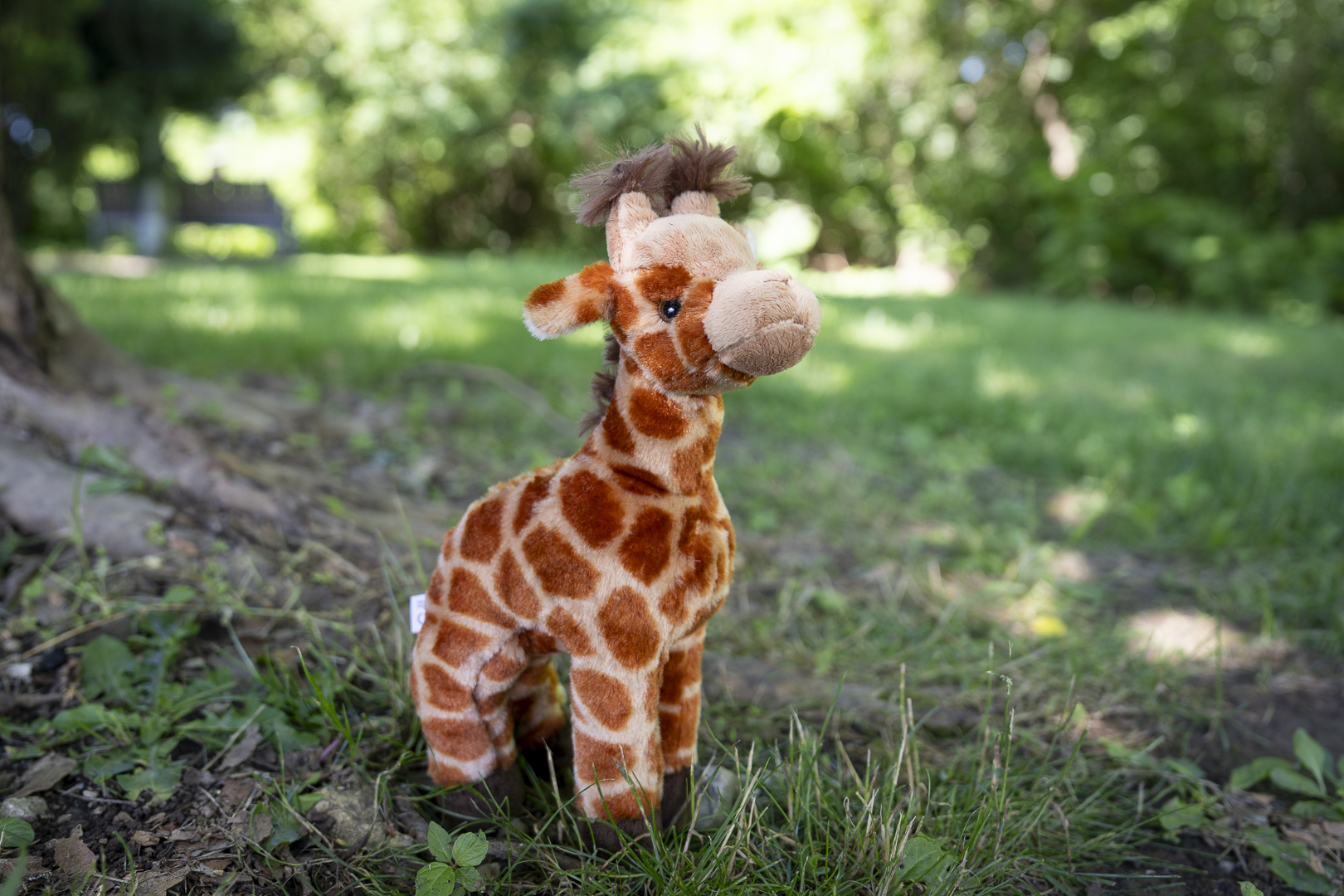 plush giraffe