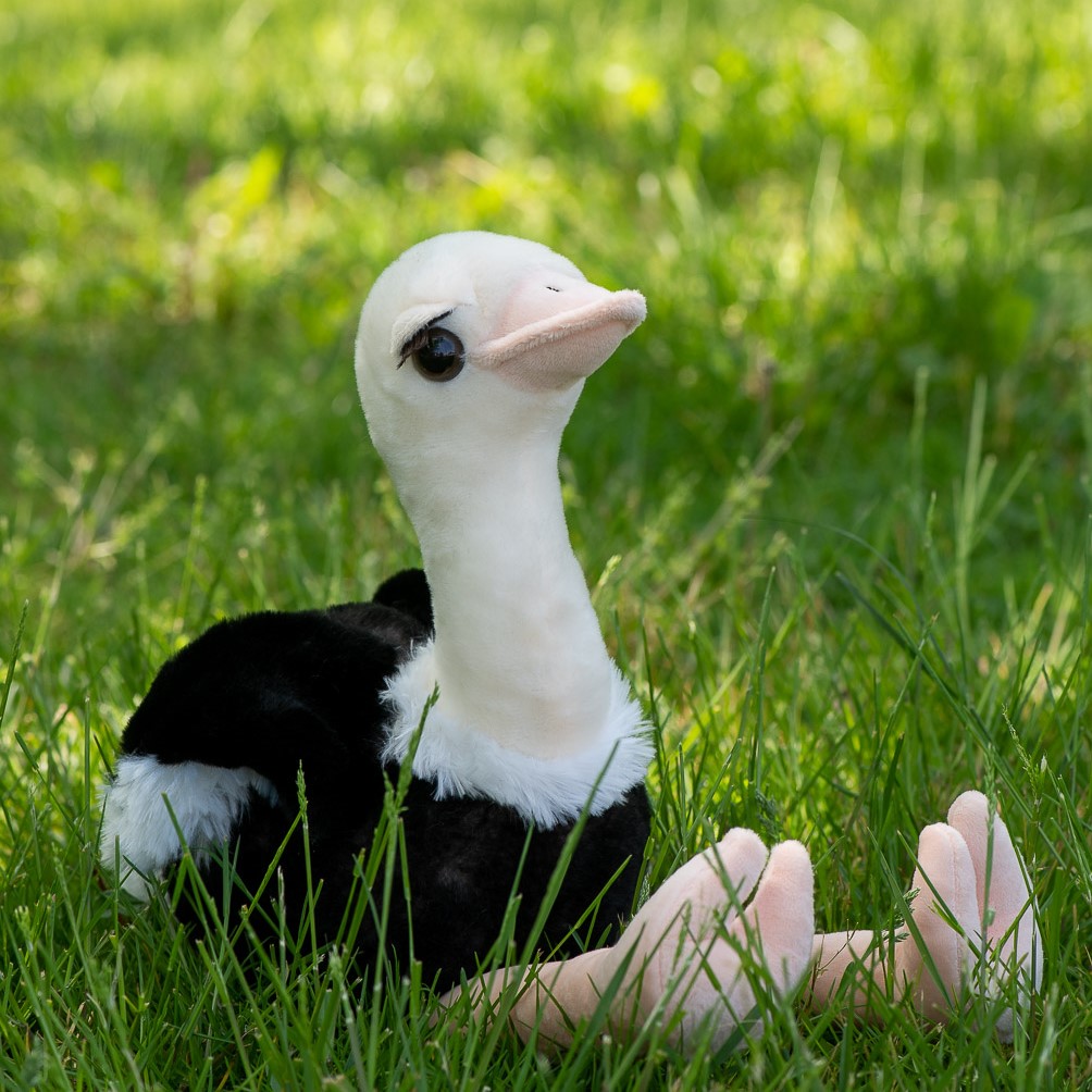 ostrich plush