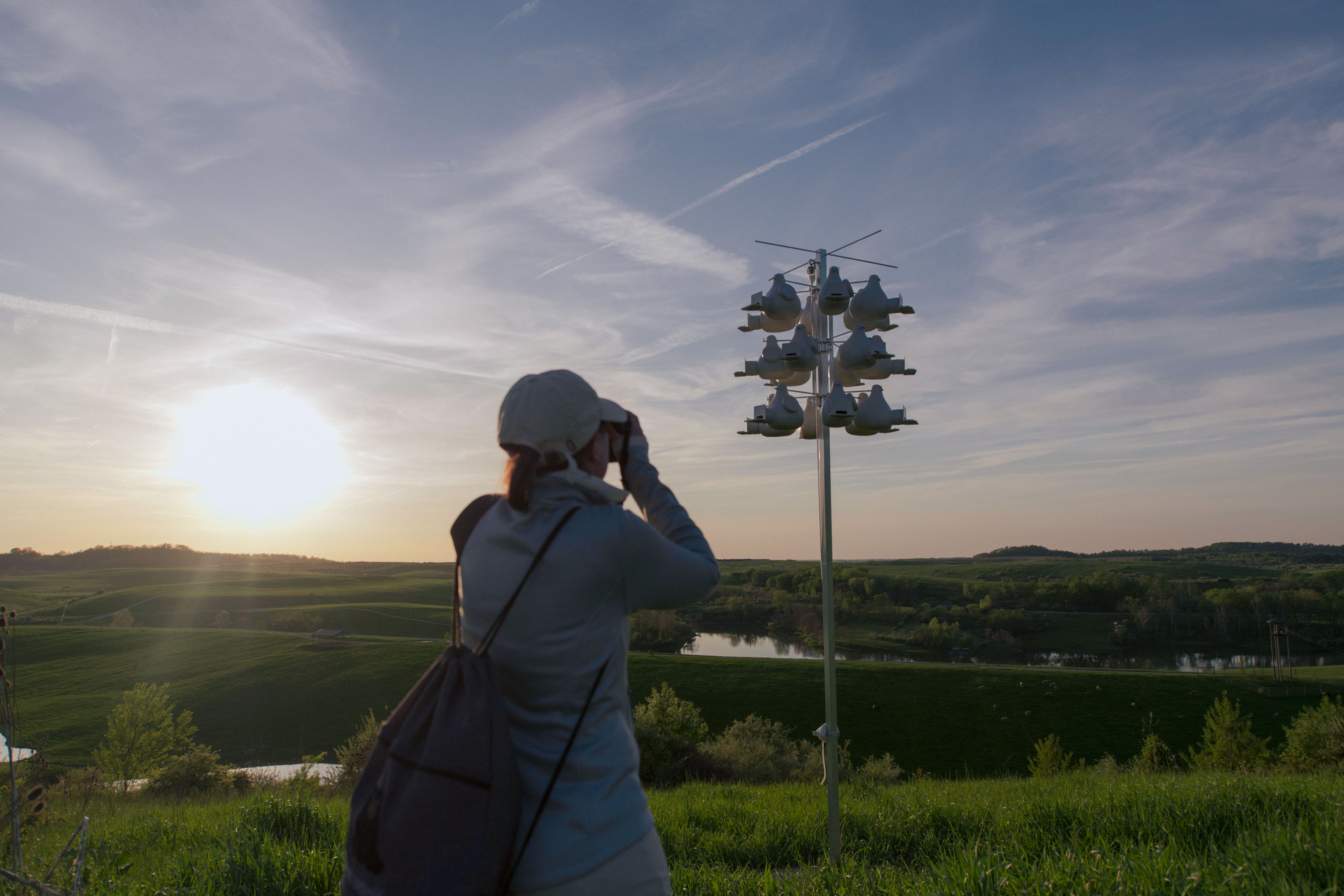 woman taking picture of bird house at The Wilds