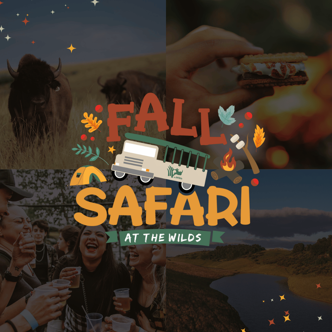 Fall Safari logo