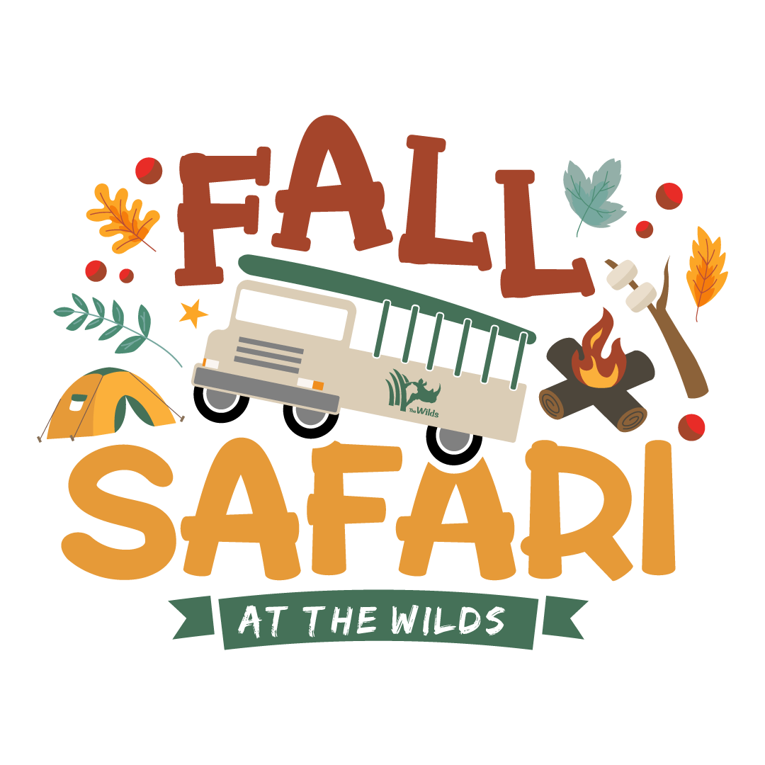 Fall Safari event graphic