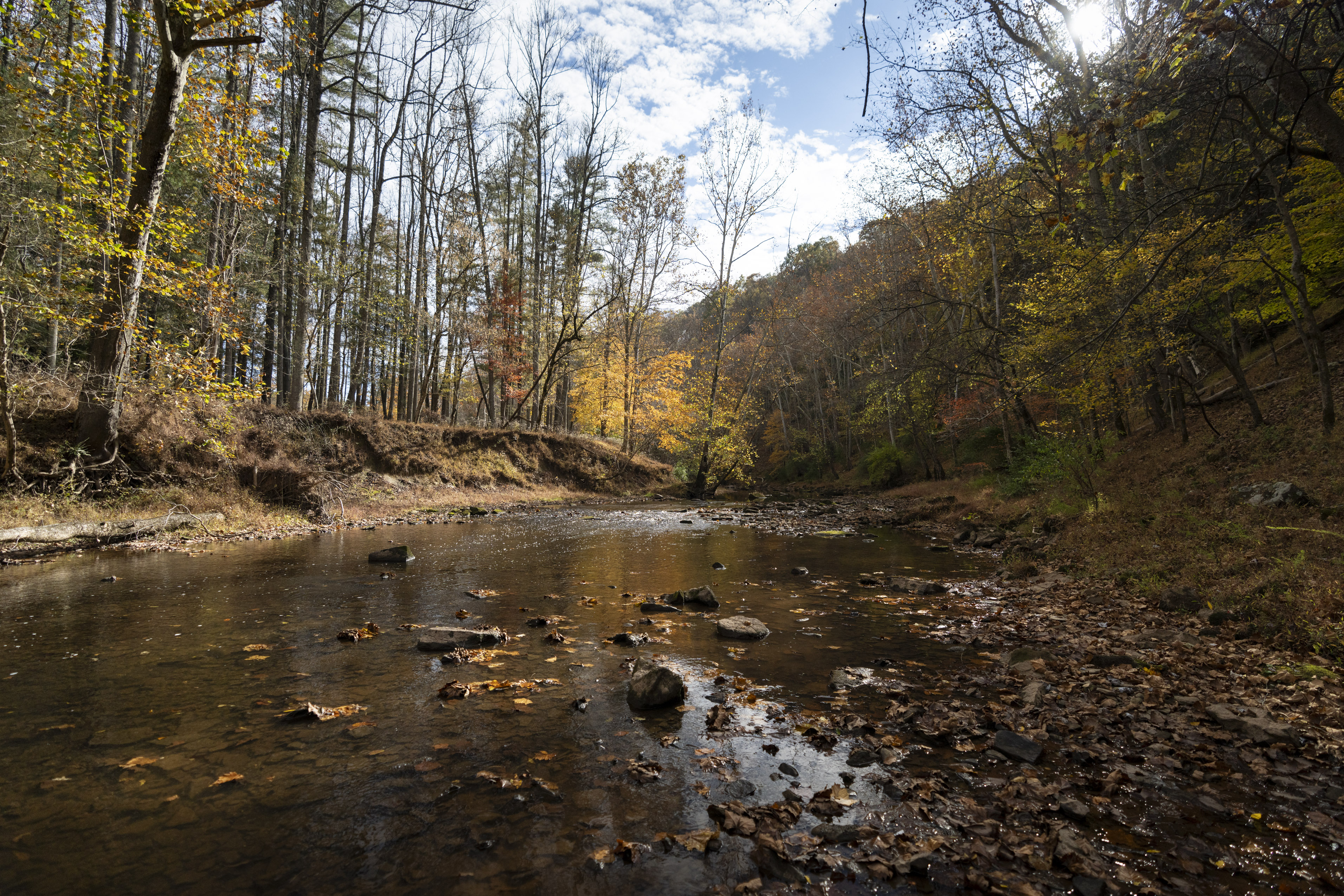 stream in Ohio