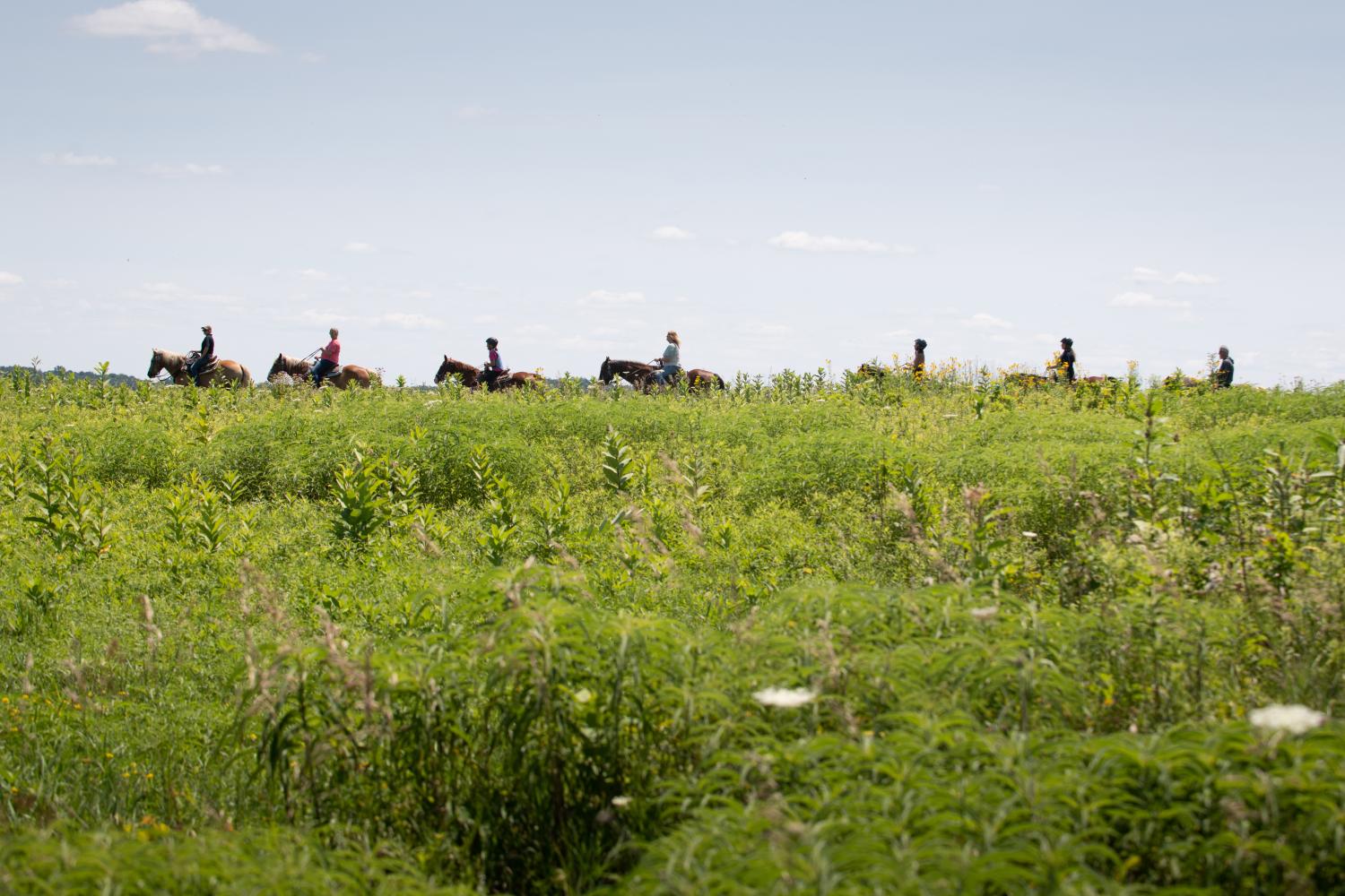 horseback riders on hill ridge