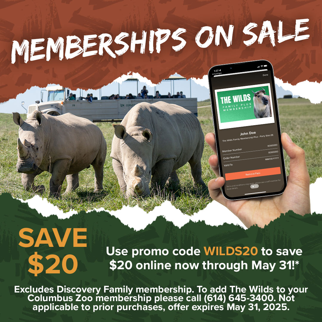 sales graphic for The WIlds
