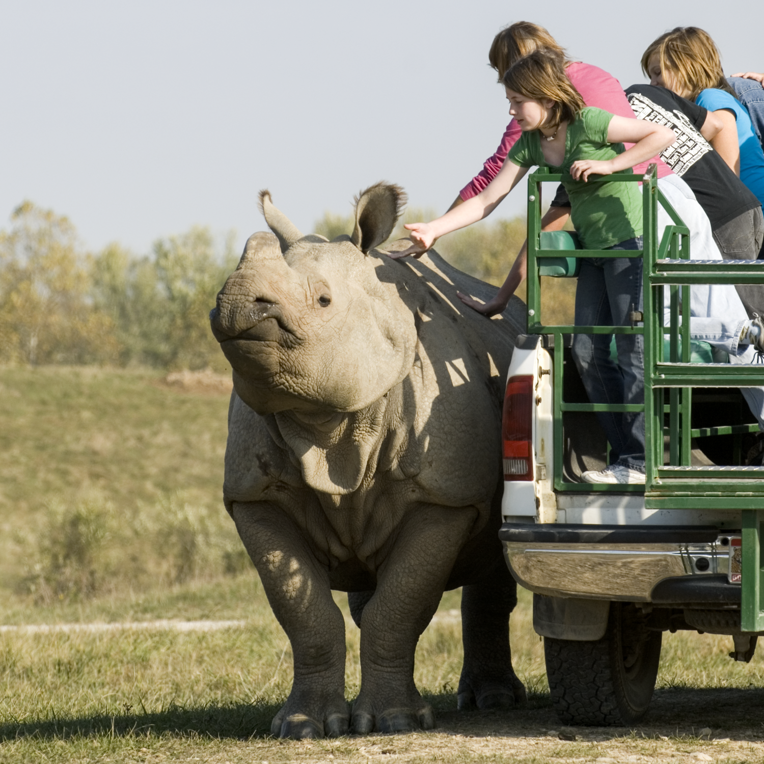 family petting rhino on tour
