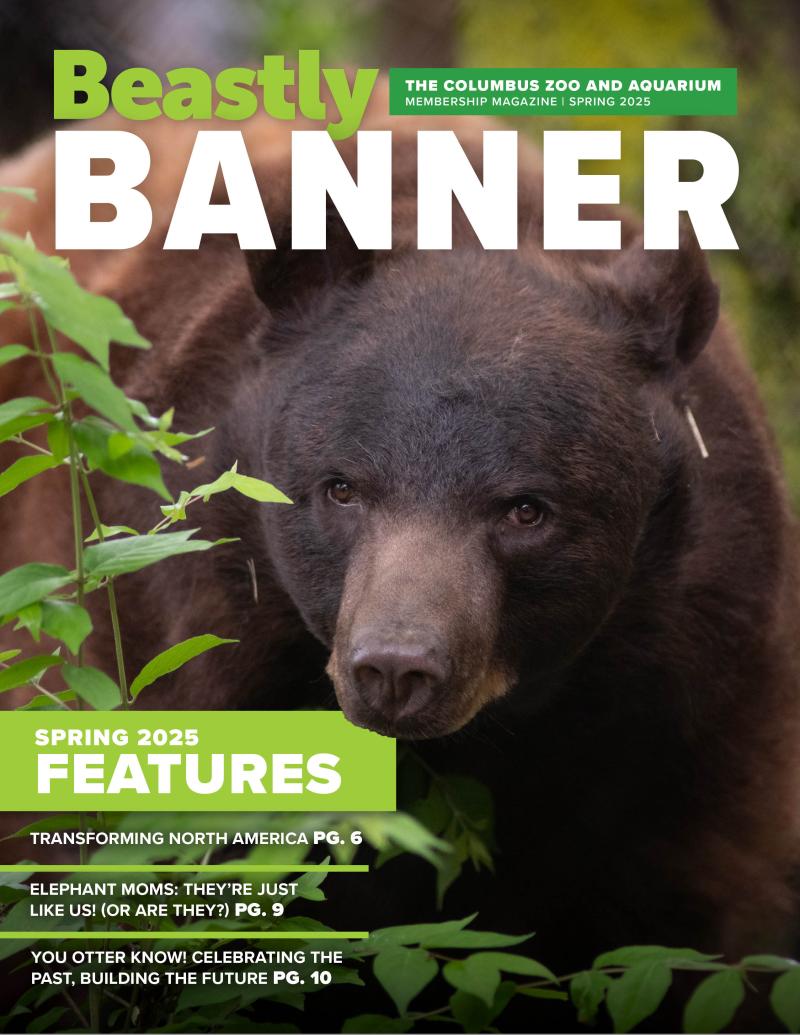 magazine cover