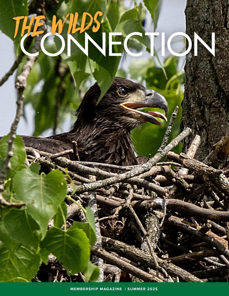emagazine cover