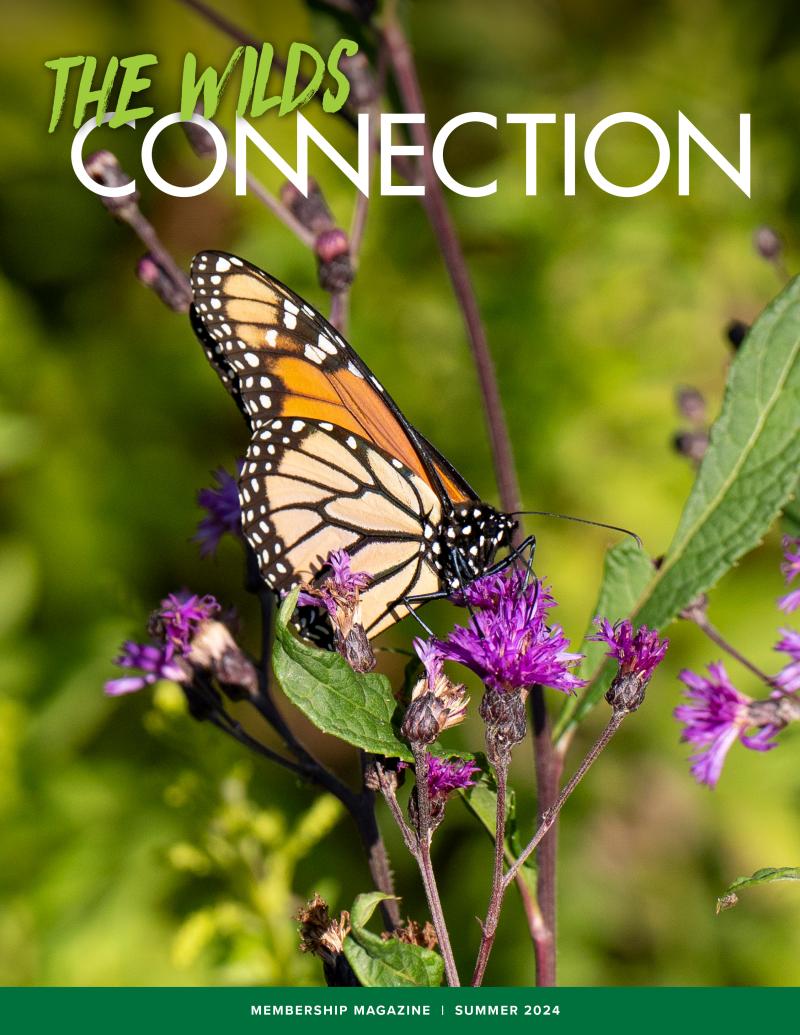 magazine cover