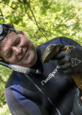 scientist holding hellbender