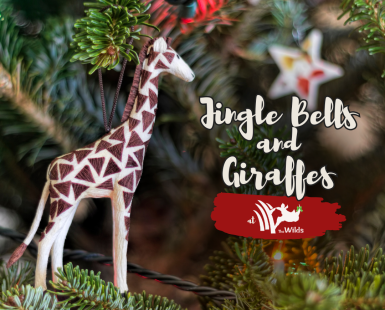 Holiday event graphic with giraffe ornament