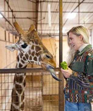 woman feeding giraffe