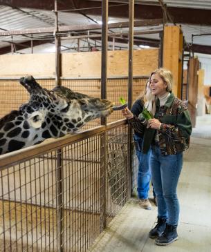 woman feeding giraffe