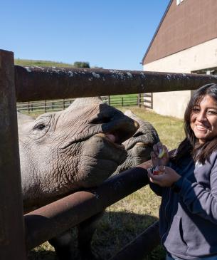 woman feeding rhino