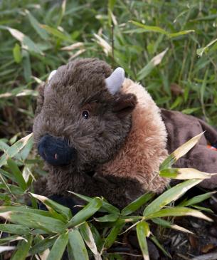 bison plush