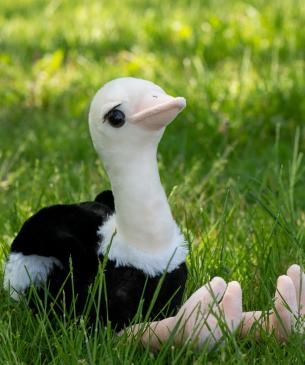 ostrich plush
