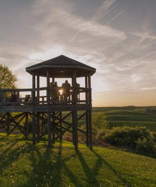 overlook tower at The Wilds