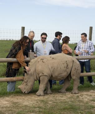 Guests at The Wilds looking at a rhino