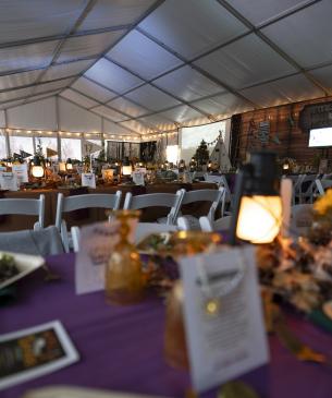 Decor at a fundraising event at The WIlds