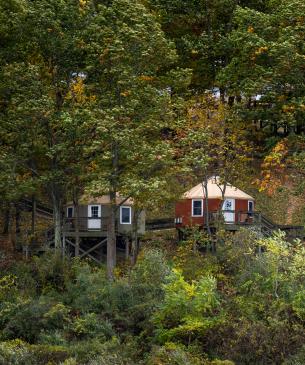 Yurts in woods