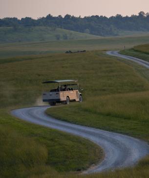 tour bus on gravel road