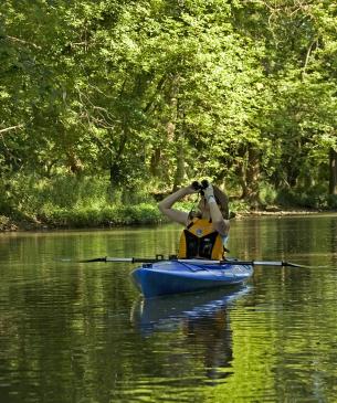 kayaking