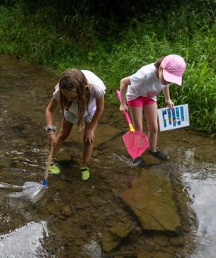 children at summer camp
