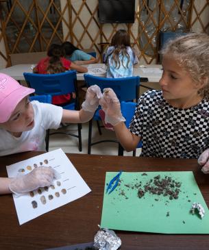 children at summer camp