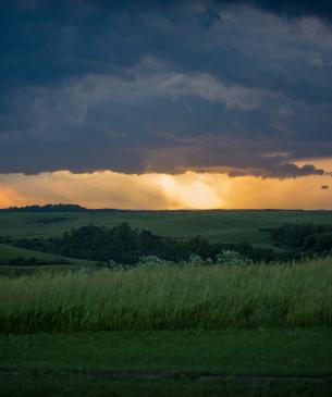 sunset and field