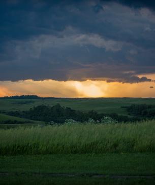 sunset and field