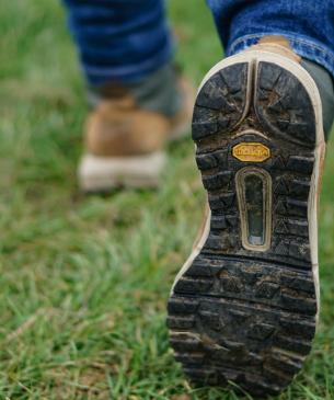 hiking boot