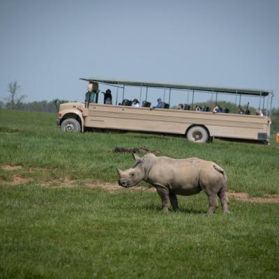 Tour at The Wilds