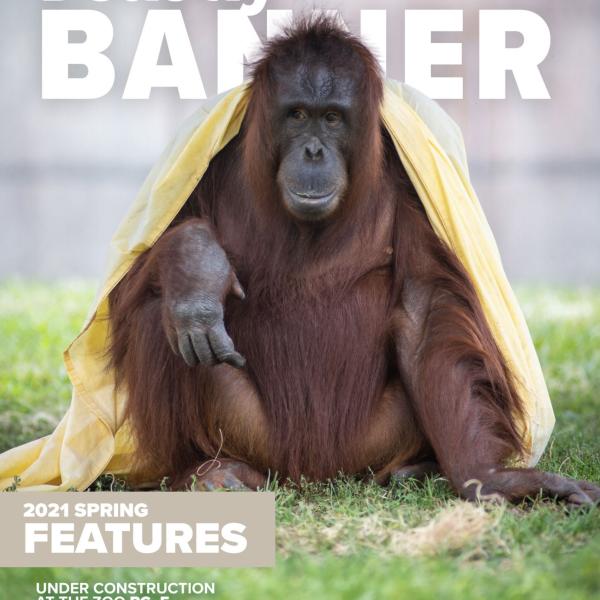 Spring 2021 Beastly Banner