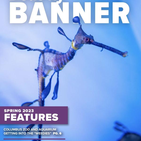 Spring 2023 Beastly Banner