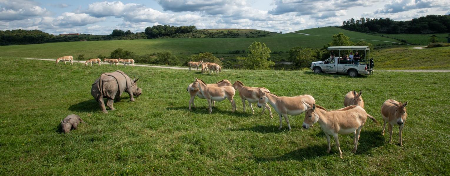 pasture tour